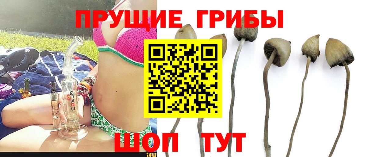 Псилоцибиновые грибы прущие грибы Рузаевка