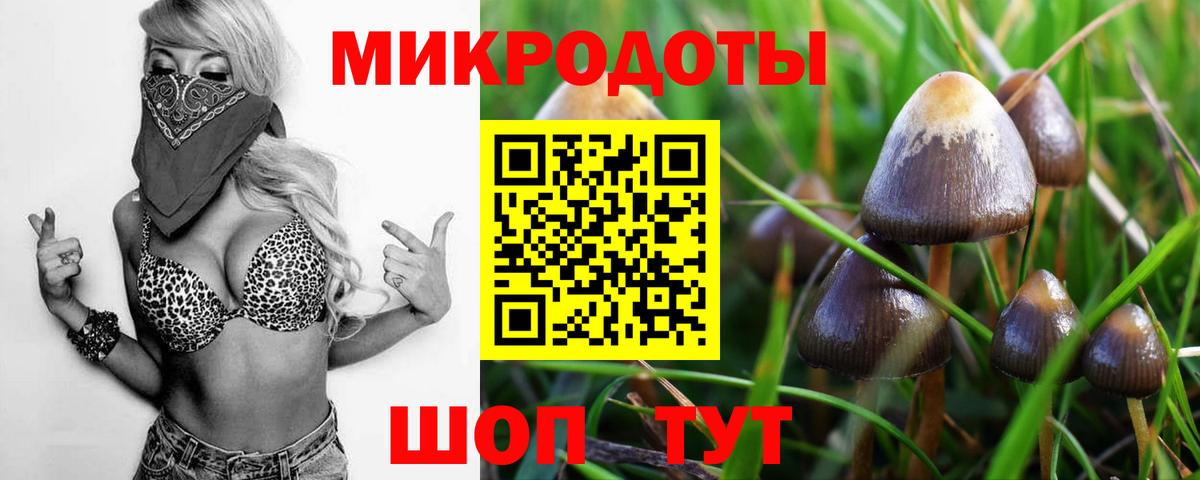 Рузаевка  наркота  Вход с VPN  Галлюциногенные грибы Cubensis 